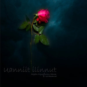 Uanniit Ilinnut