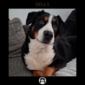 Nelly