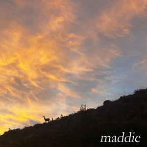 maddie
