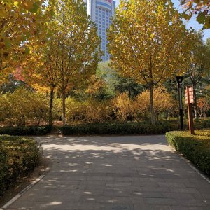 去见你（cover 徐秉龙）