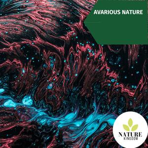 Native Northen Flicker