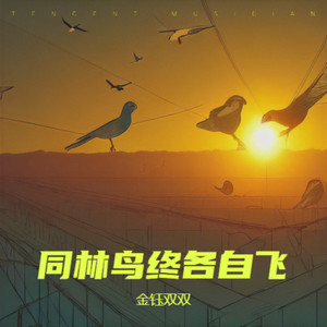 同林鸟终各自飞
