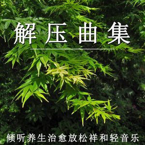 解压曲集 倾听养生