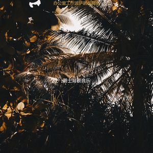 在家里工作安静的波萨诺伐舞曲