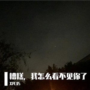 糟糕，我怎么看不见你了