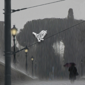 비오는 날도 나쁘지는 않네요