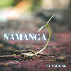 Namanga