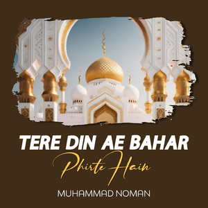 Tere Din Ae Bahar Phirte Hain