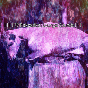 睡眠的補救措施