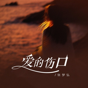 爱的伤口 (伴奏)