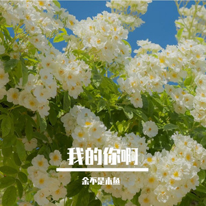 我的你啊Dafu beat