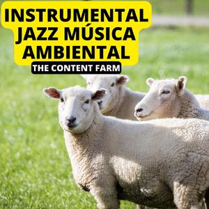 Creative Differences..Or Just Lack of Creativity