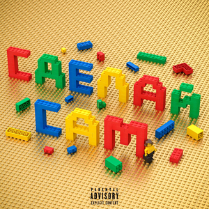 СДЕЛАЙ САМ