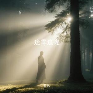 迷雾追光