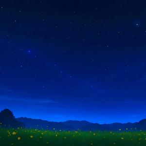 तिम्रो माया