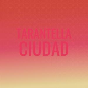 Foreseeable Superman