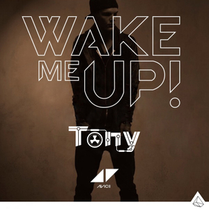 Wake Me Up (Tony Bootleg)