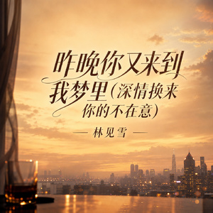 昨晚你又来到我梦里(深情换来你的不在意)