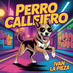 Perro Callejero