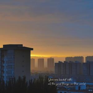 我的猫狂奔了一整夜