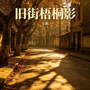 旧街梧桐影.wav