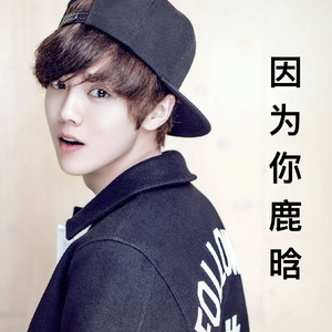 因为你鹿晗