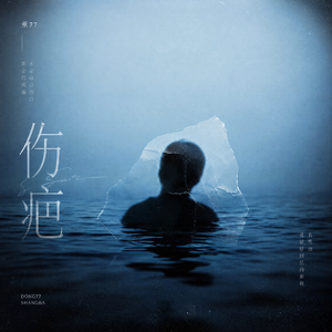 伤疤（Scar）