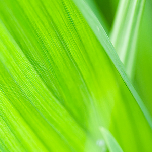 一生最爱的是你