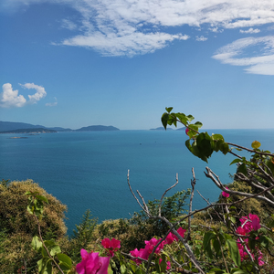 阿尔法深度疗愈