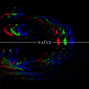 All 4 You (feat. Leslie Carron)