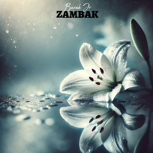 Zambak