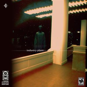 SENSATIONS BRAND NEW