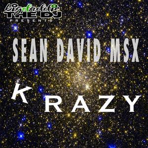 Krazy (feat. Sean David MSX)