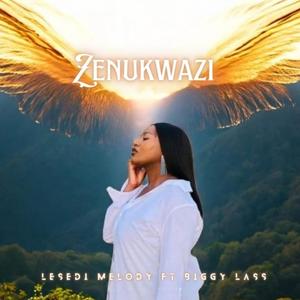 Zenukwazi (Radio Edit)
