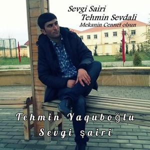 Dostluqdan sevgiye