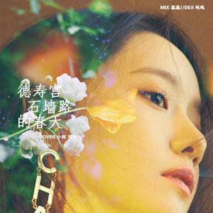 덕수궁 돌담길의 봄（翻自 林允儿）