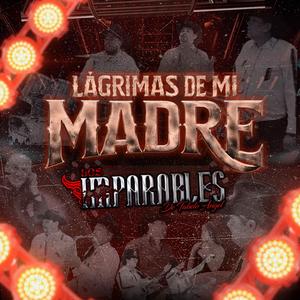 Lagrimas De Mi Madre