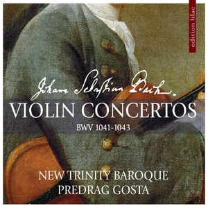 Violin Concerto in A Minor, BWV 1041: I. Allegro moderato