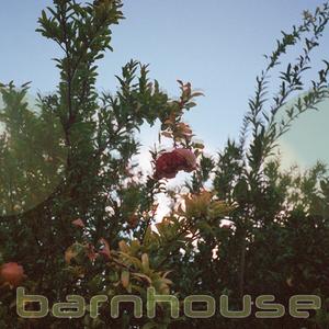 Barnhouse (CN:VX Remix)