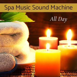 Detoxifying Body Treatments