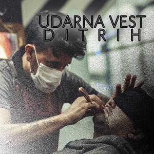 Ditrih Udarna Vest