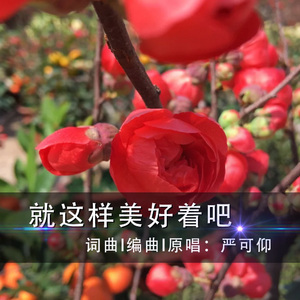 就这样美好着吧 伴奏