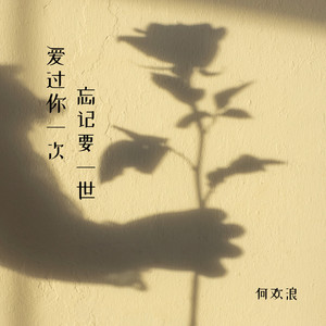 爱过你一次 忘记要一世