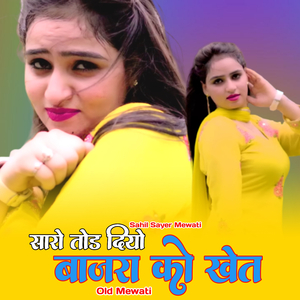 सारो तोड दियो बाजरा को खेत ओल्ड मेवाती