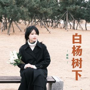 白杨树下