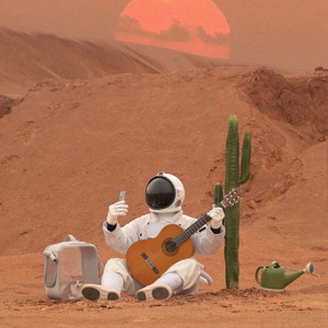 我不是你的宋冬野.