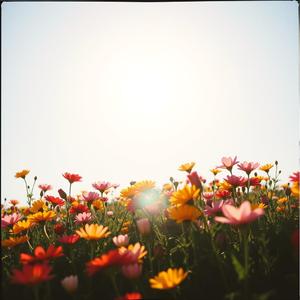 तिम्रो सम्झना ले सताइ रहेछ by @orangemusicologist6136