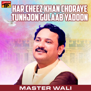 Har Cheez Khan Choraye Tunhjon Gulaab Yadoon