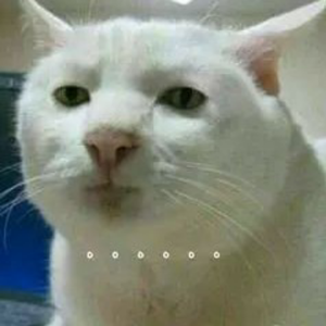 彼此的陌生人曲:Prodbyenjoy$Xt and TAI GANG music