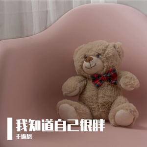 我知道自己很胖